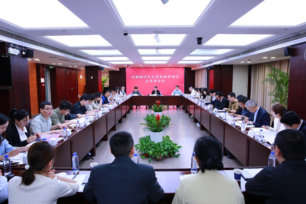 安徽辖区民企债券融资增信业务座谈会在岳阳召开